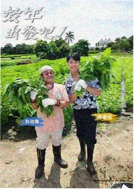 艺术之约